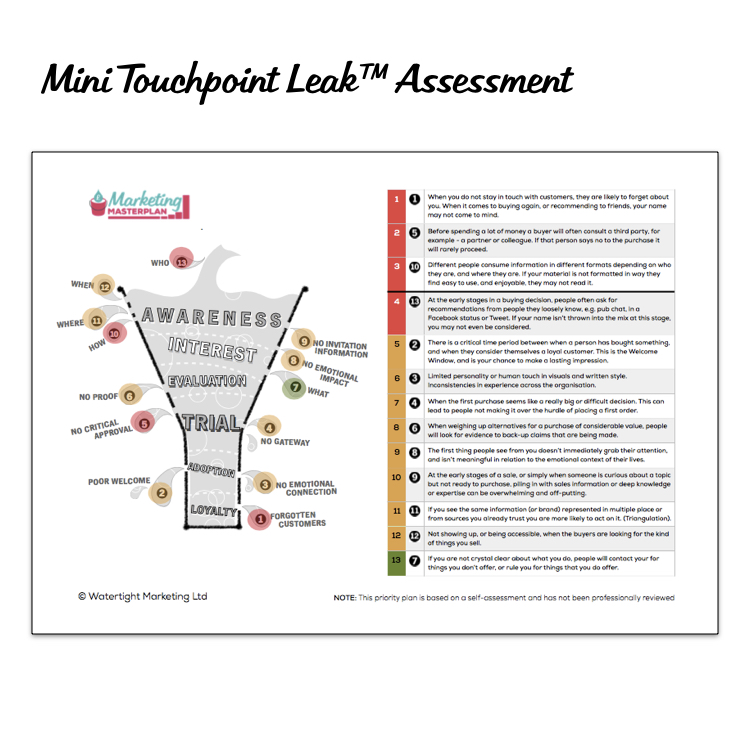 Snapshot Marketing Leak Assessment